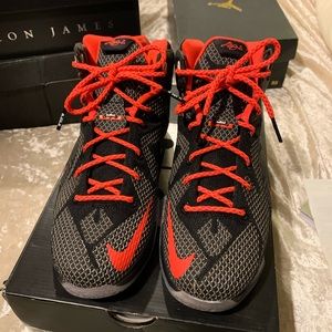 LeBron James XII